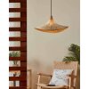 Eglo HAXEY Pendant Light black, 1-light source