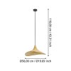 Eglo HAXEY Pendant Light black, 1-light source