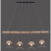 Leuchten-Direkt REED Pendant Light black, 4-light sources