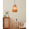 Eglo ALDERNEY Pendant Light black, 1-light source