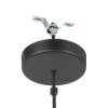 Eglo ALDERNEY Pendant Light black, 1-light source