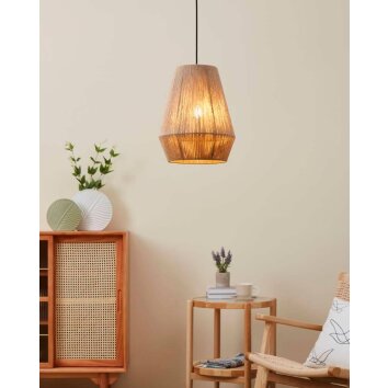 Eglo ALDERNEY Pendant Light black, 1-light source