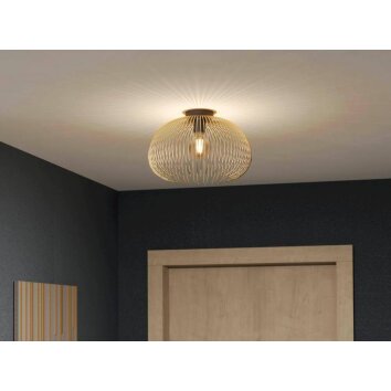 Eglo VENEZUELA Ceiling Light black, 1-light source