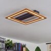 Charentay Ceiling Light LED black, 1-light source