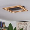 Charentay Ceiling Light LED black, 1-light source