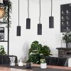 Javel Pendant Light black, 4-light sources