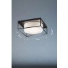 Fischer & Honsel Carre Ceiling Light black, 3-light sources