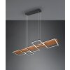 Trio Harper Pendant Light LED black, 1-light source