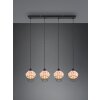 Reality Borka Pendant Light black, 4-light sources