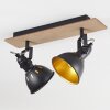 Tina Ceiling Light Dark wood, Ecru, black, 2-light sources