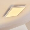Voisines Ceiling Light LED white, 1-light source, Remote control, Colour changer