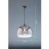 Fischer & Honsel Amos Pendant Light black, 1-light source