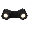Globo RORY Ceiling Light black, 2-light sources