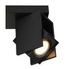 Globo RORY Ceiling Light black, 2-light sources