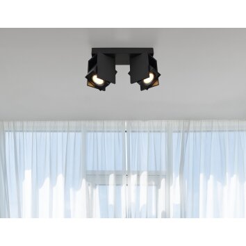 Globo RORY Ceiling Light black, 2-light sources