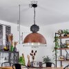 Amorots Pendant Light black, 1-light source