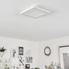 Audrieu Ceiling Light LED white, 2-light sources
