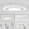 Audrieu Ceiling Light LED white, 2-light sources