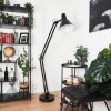 Estancarbon Floor Lamp black, 1-light source