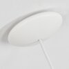 Dreuil Pendant Light white, 1-light source