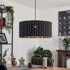 Ubac Pendant Light black, 1-light source