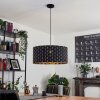 Ubac Pendant Light black, 1-light source