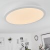Sani Ceiling Light LED white, 1-light source, Remote control, Colour changer