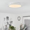 Sani Ceiling Light LED white, 1-light source, Remote control, Colour changer