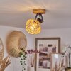 Auboncourt Ceiling Light Ecru, 1-light source