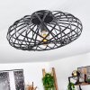 Oravi Ceiling Light black, 1-light source
