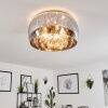 Belleguette Ceiling Light silver, 5-light sources