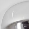Belleguette Ceiling Light silver, 5-light sources