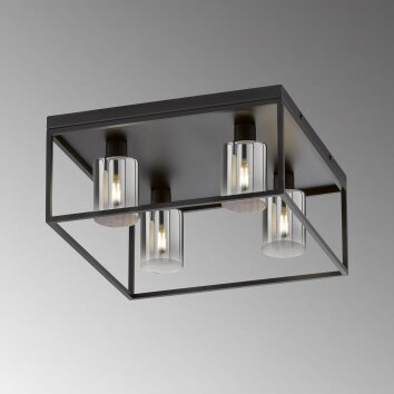 Fischer & Honsel Iska Ceiling Light black, 4-light sources