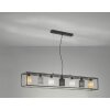 Fischer & Honsel Isko Pendant Light black, 7-light sources