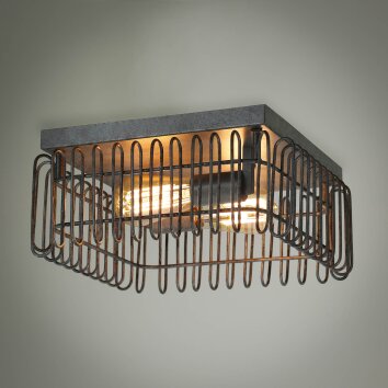 Trax Ceiling Light anthracite, 2-light sources