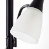 Brilliant Lucy Floor Lamp LED black, 2-light sources