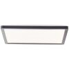 Brilliant Sorell Ceiling Light LED black, 1-light source, Remote control
