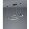 Trio Grant Pendant Light LED brass, black, 1-light source