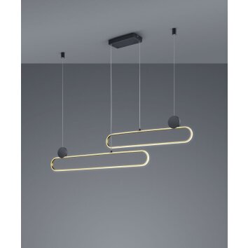 Trio Grant Pendant Light LED brass, black, 1-light source