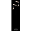 Globo PRISKA Floor Lamp Ecru, black, 2-light sources