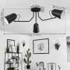 Sacriquier Ceiling Light black, 3-light sources