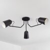 Sacriquier Ceiling Light black, 3-light sources