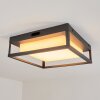 Nonza outdoor ceiling light LED anthracite, 1-light source
