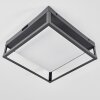 Nonza outdoor ceiling light LED anthracite, 1-light source