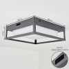 Nonza outdoor ceiling light LED anthracite, 1-light source