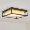 Nonza outdoor ceiling light LED anthracite, 1-light source