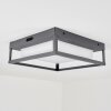 Nonza outdoor ceiling light LED anthracite, 1-light source