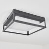 Nonza outdoor ceiling light LED anthracite, 1-light source