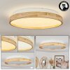 Menthonnex Ceiling Light LED white, 1-light source