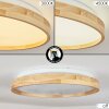 Menthonnex Ceiling Light LED white, 1-light source